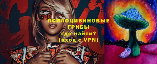 первитин Краснослободск
