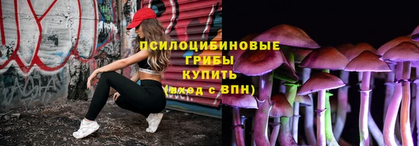 первитин Краснослободск