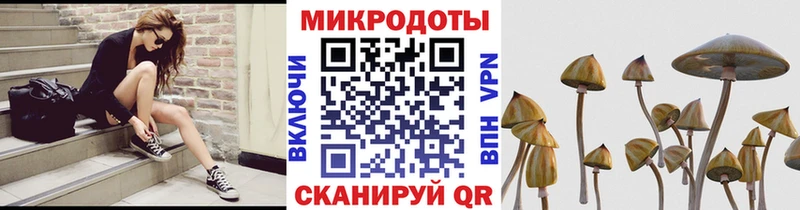 Псилоцибиновые грибы мицелий  Фурманов 