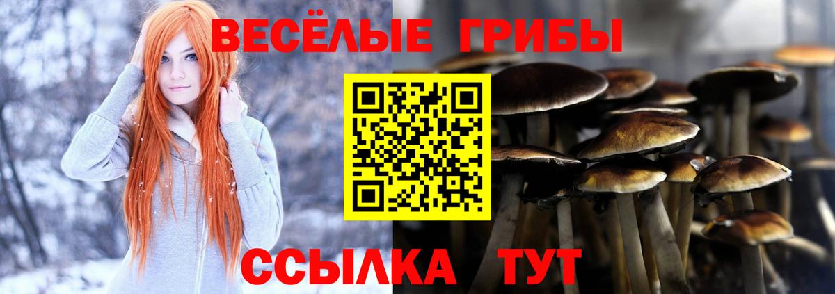 Псилоцибиновые грибы Cubensis Фурманов