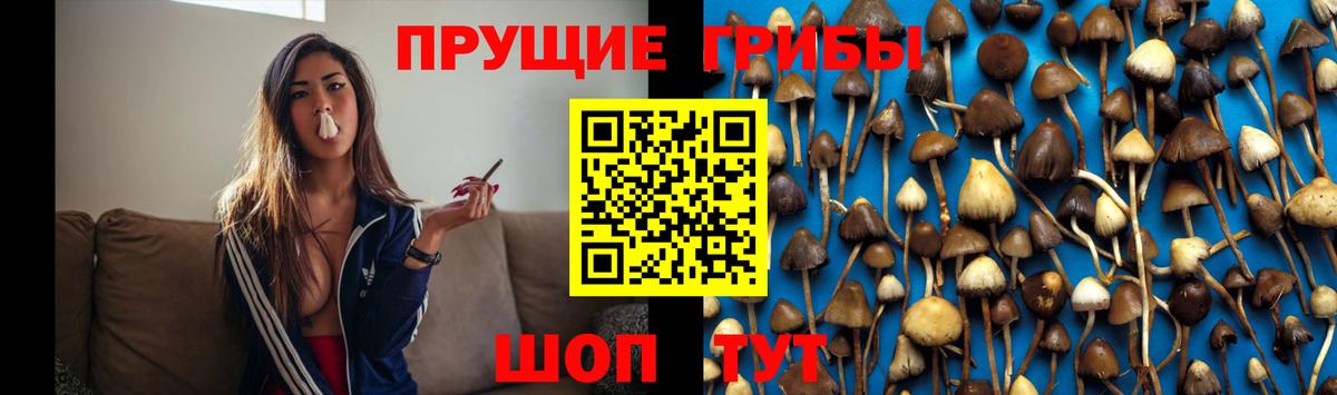 Псилоцибиновые грибы Magic Shrooms Фурманов